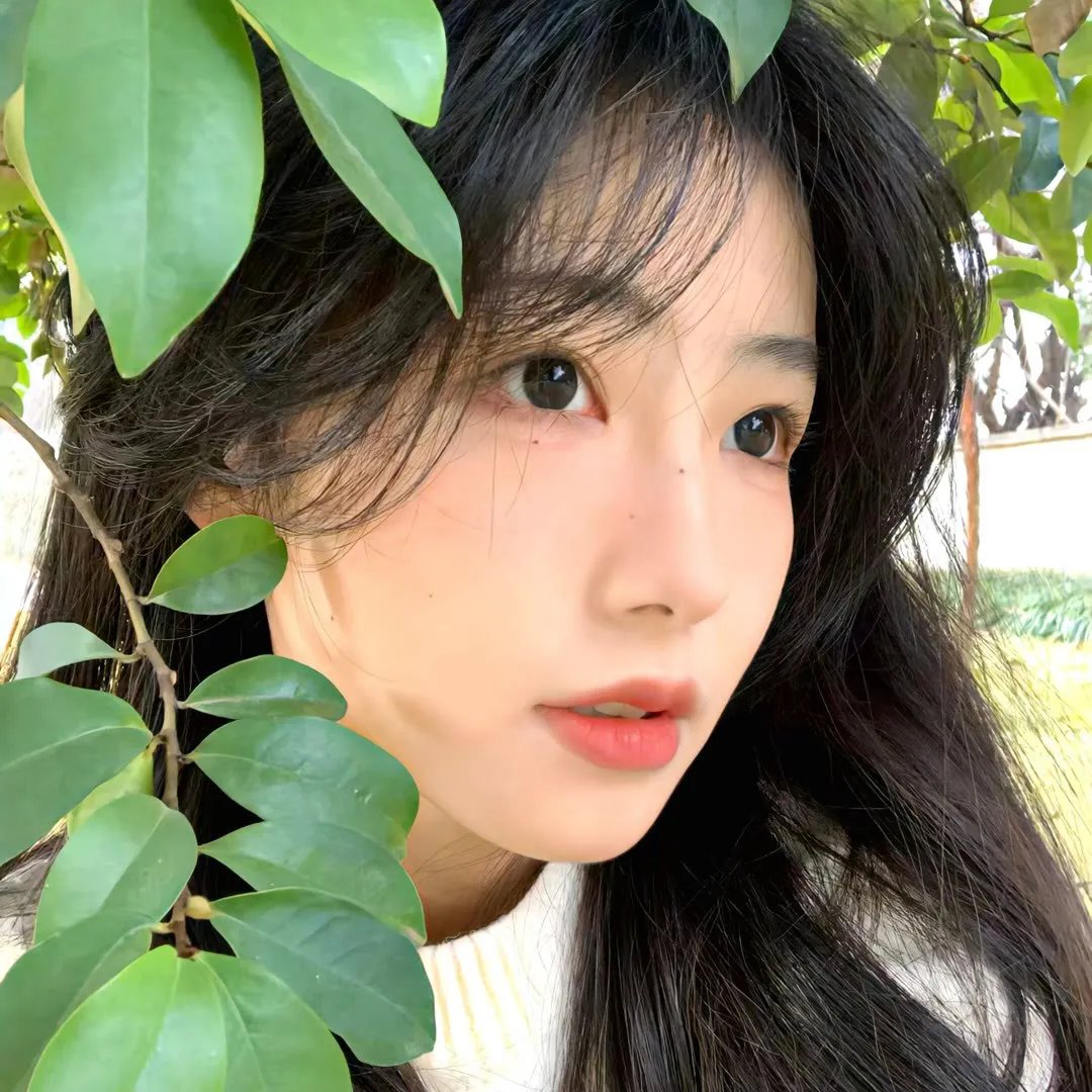 风吹半夏之野蛮生长